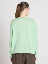 Sweater Absolut Cashmere Alicia V Neck Sweater Pastel Green M / Pastel Green Apoella