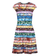 Dresses Mary Katrantzou Pinto Dress Ripple Stripes Moody Floral / M Apoella