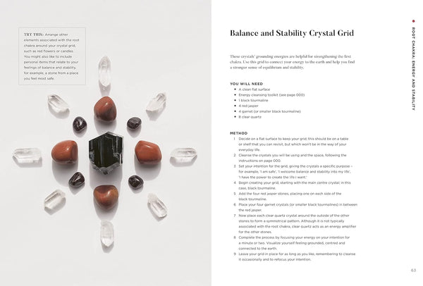 Books TeNeues The Chakra Fix O/S Apoella