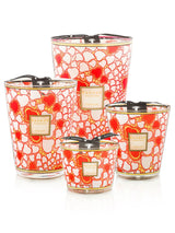 Candles Baobab Crazy Love Candle Max 10 Max 10 Apoella