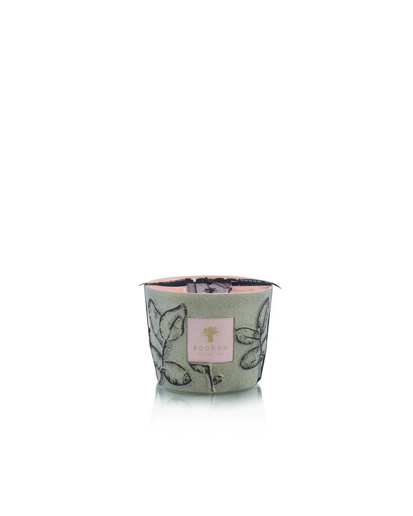 Candles Baobab Folia Maquis Limited Edition Candle Max 10 O/S Apoella