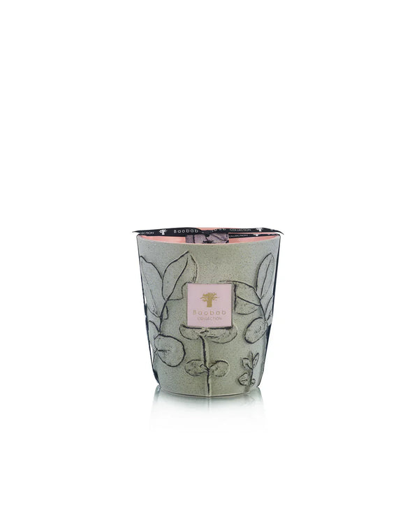 Candles Baobab Folia Maquis Limited Edition Candle Max 16 O/S Apoella