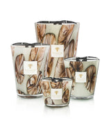 Candles Baobab Oceania Αnangu Limited Edition Candle Max 16 Max 16 Apoella