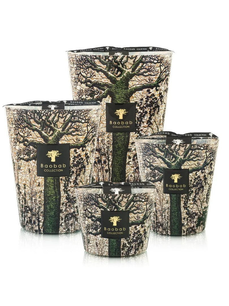 Candles Baobab Sacred Trees Limited Edition Candle Max 16 Max 16 Apoella