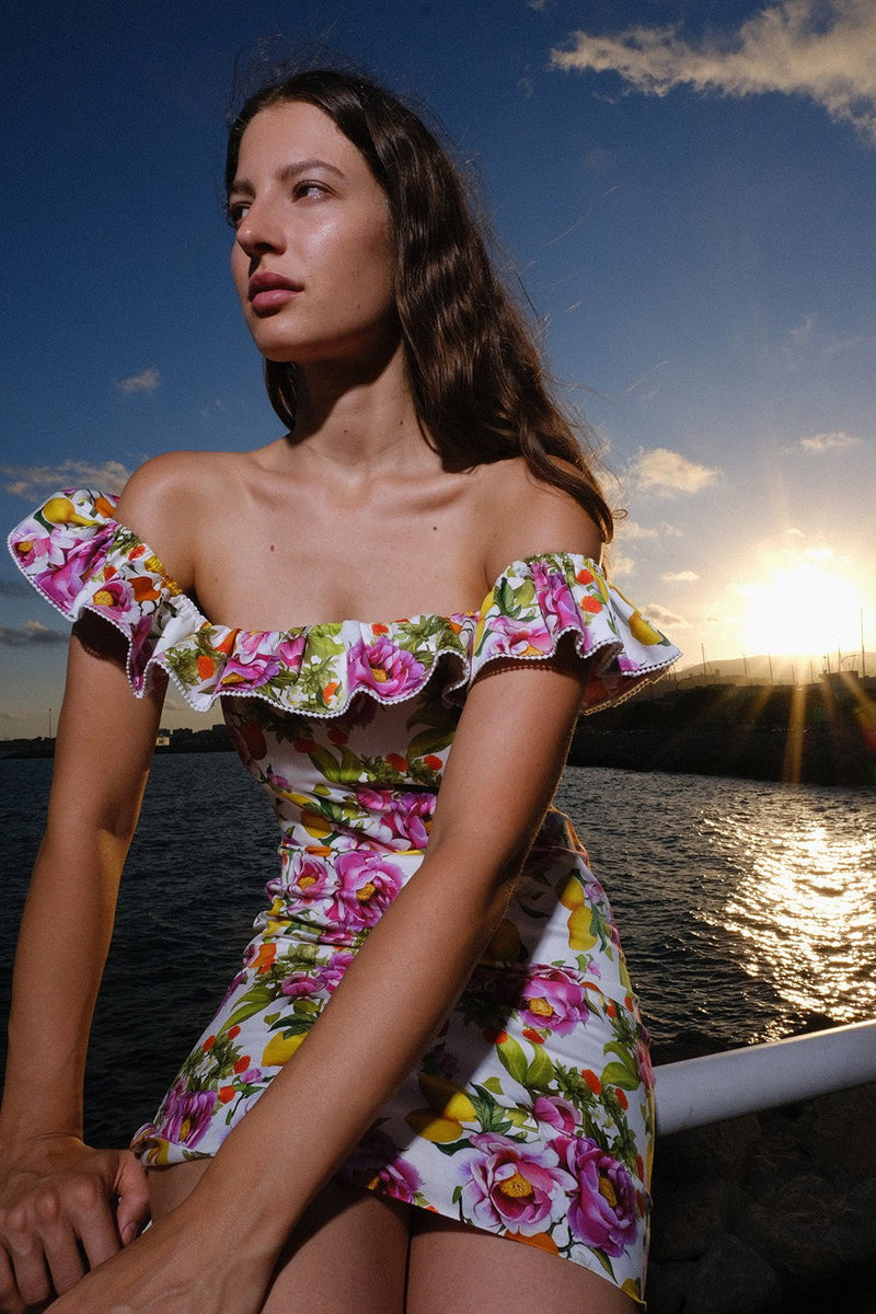 borgo de nor pink dress $694 Borgo De Nor Women's Pink Floral Off-The-Shoulder Ziggy MIni Dress Size 16